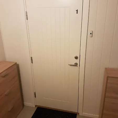 Falunveien 3 Røros