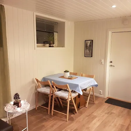 Falunveien 3 Røros